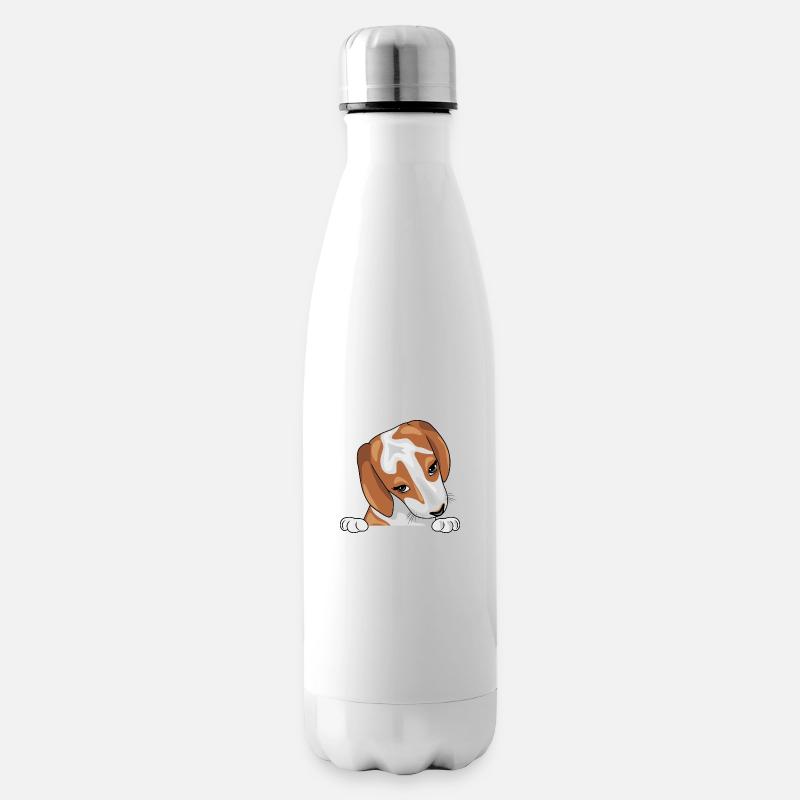 Spähen schüchterner Beagle-Welpe - Isolierflasche - Weiß