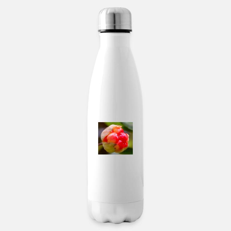 Moltebeere - Isolierflasche - Weiß