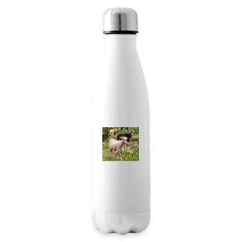 Chèvre de montagne dans le parc national Parc de l’île de Kos - Bouteille isotherme - blanc - Droite