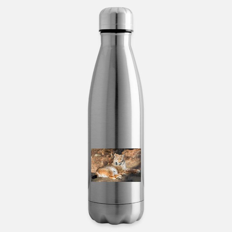 Eurasischer Luchs oder Nordluchs (Lynx lynx) - Isolierflasche - Lightsilver