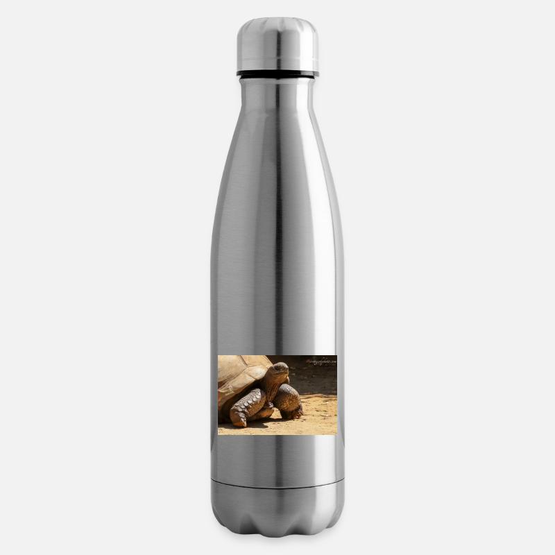 Galapagos Risen Turtle - Insulated Water Bottle - silver