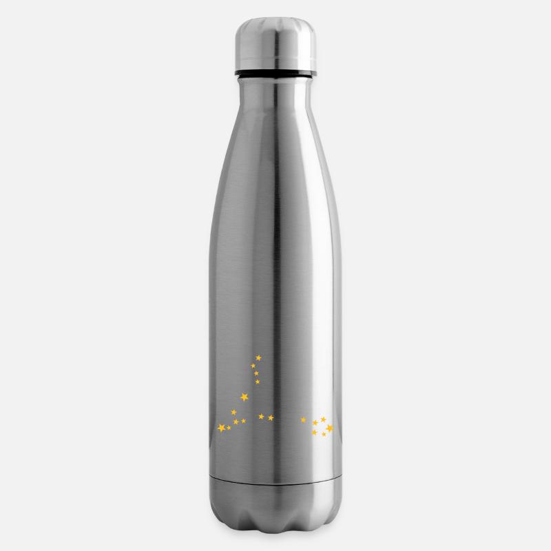 Pisces constellation - Insulated Water Bottle - silver