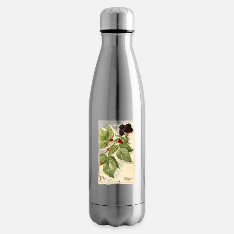 brombeeren garten rot beeren illustration vintage - Isolierflasche - Lightsilver