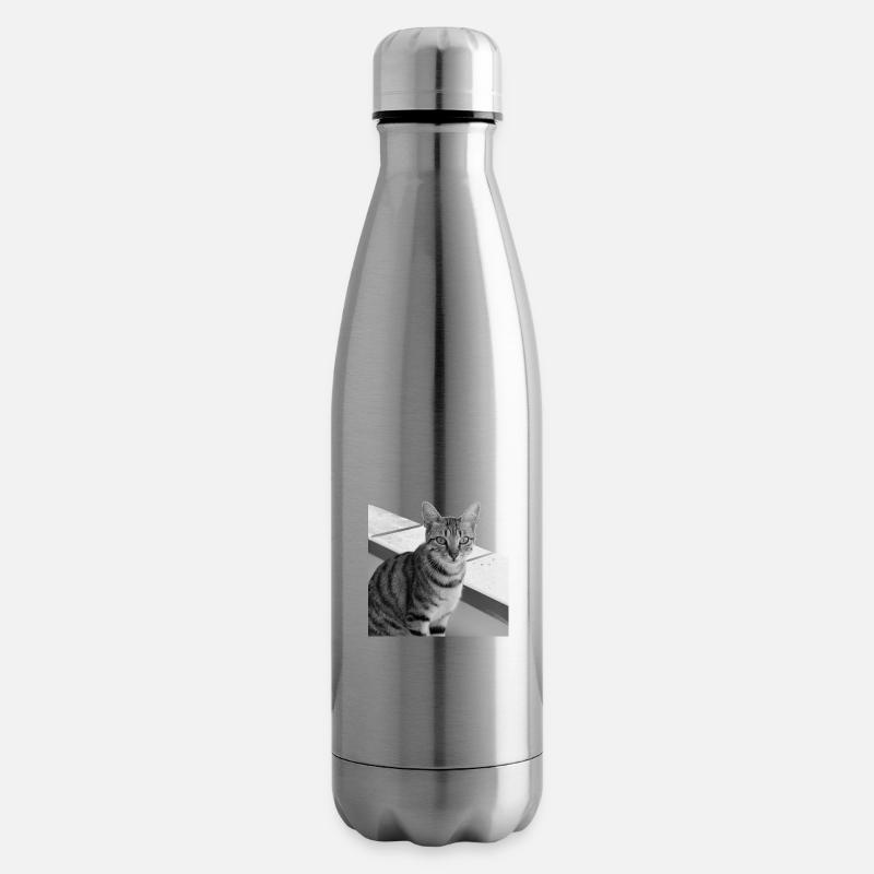 Katze Hintergrund Porträt weiß-schwarz - Isolierflasche - Lightsilver