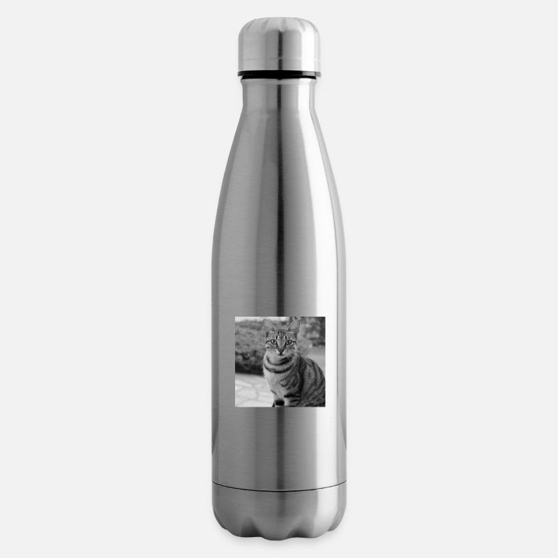 Katze Hintergrund Porträt weiß-schwarz - Isolierflasche - Lightsilver