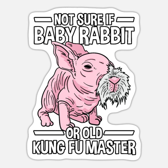 Bunny Funny Kung Fu Master Rabbit Gift' Sticker | Spreadshirt