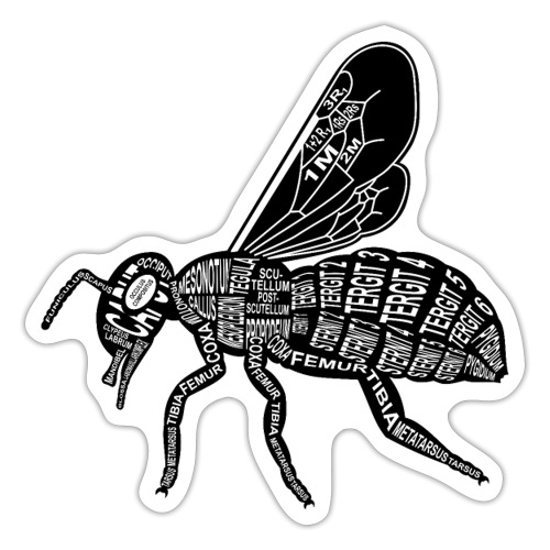 Szkielet p pszczoły - Naklejka