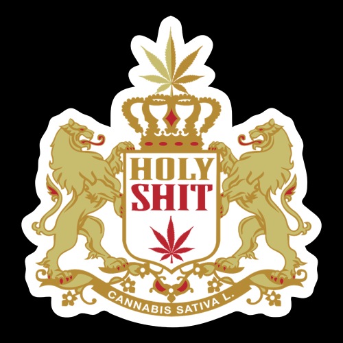 Holy Shit (front only) - Sticker