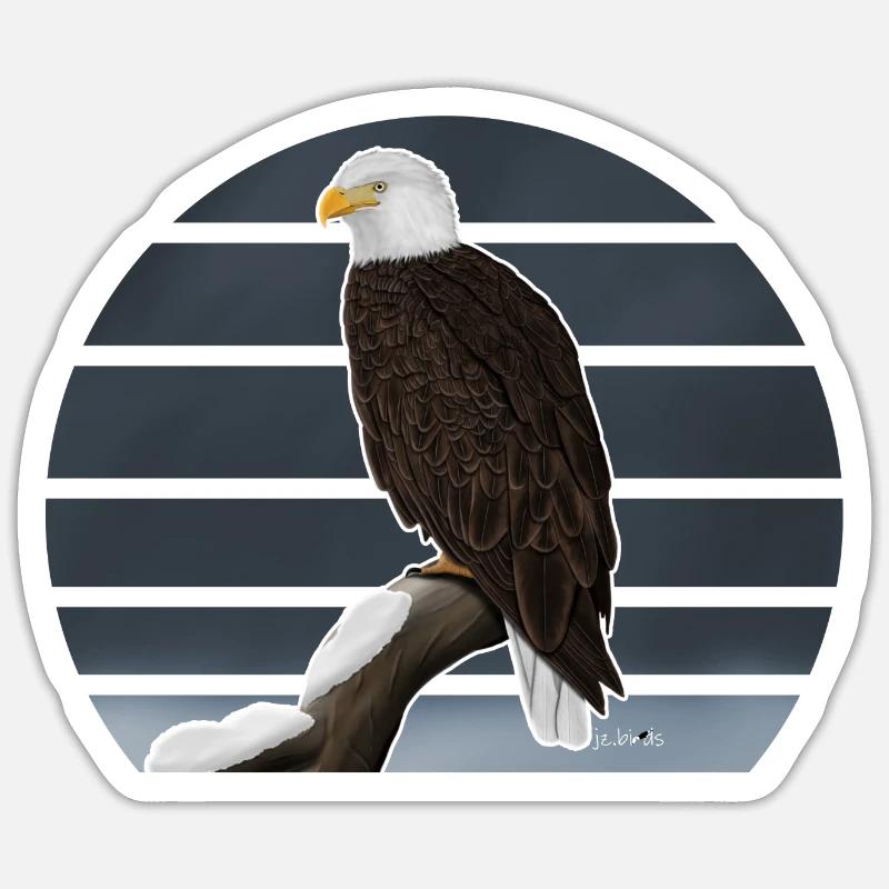 Bald eagle bird illustration - Sticker size S (10 x 10 cm) - white matte