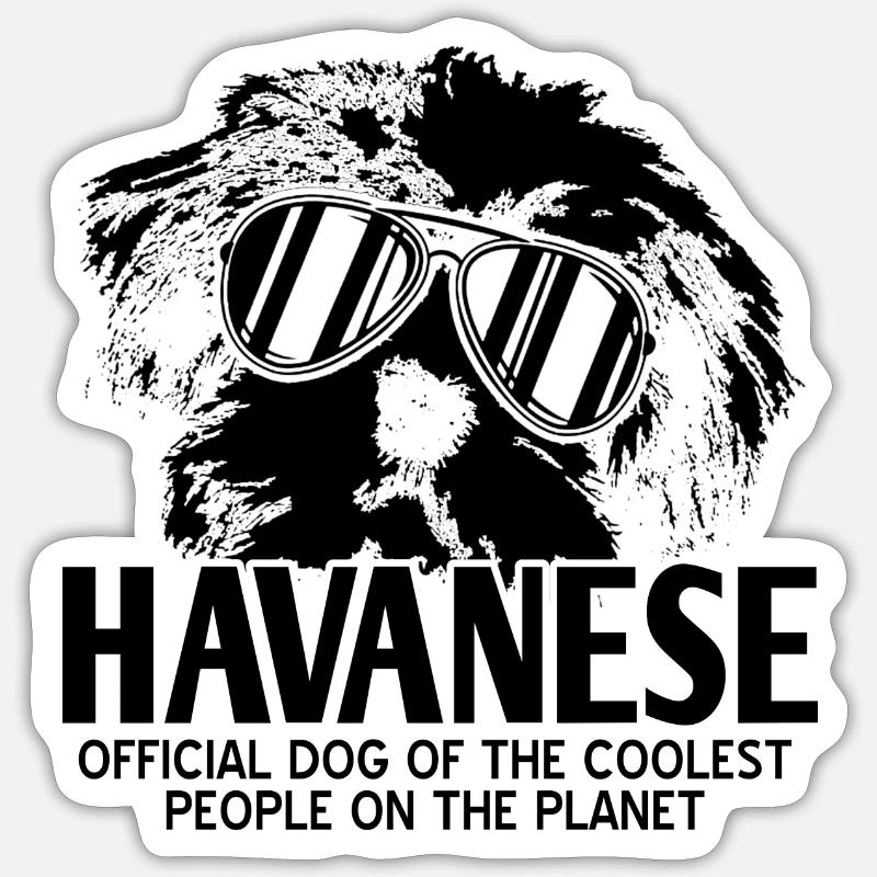 Havanese - Sticker size S (10 x 10 cm) - white matte