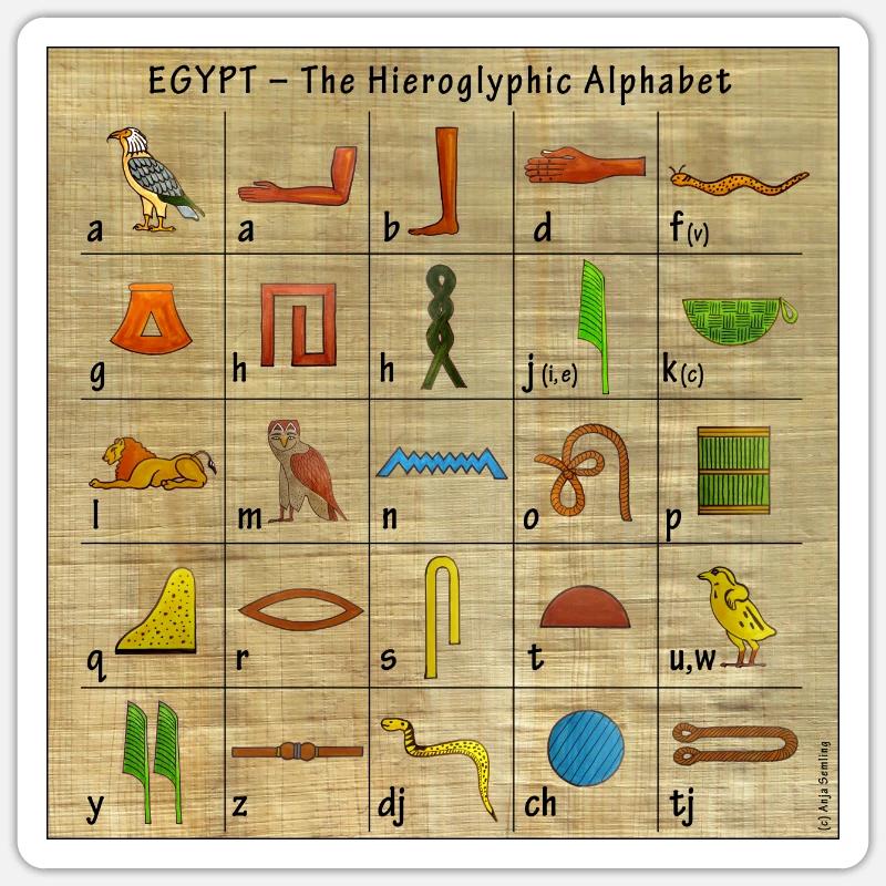 Tarra koko S (10 x 10 cm) - 