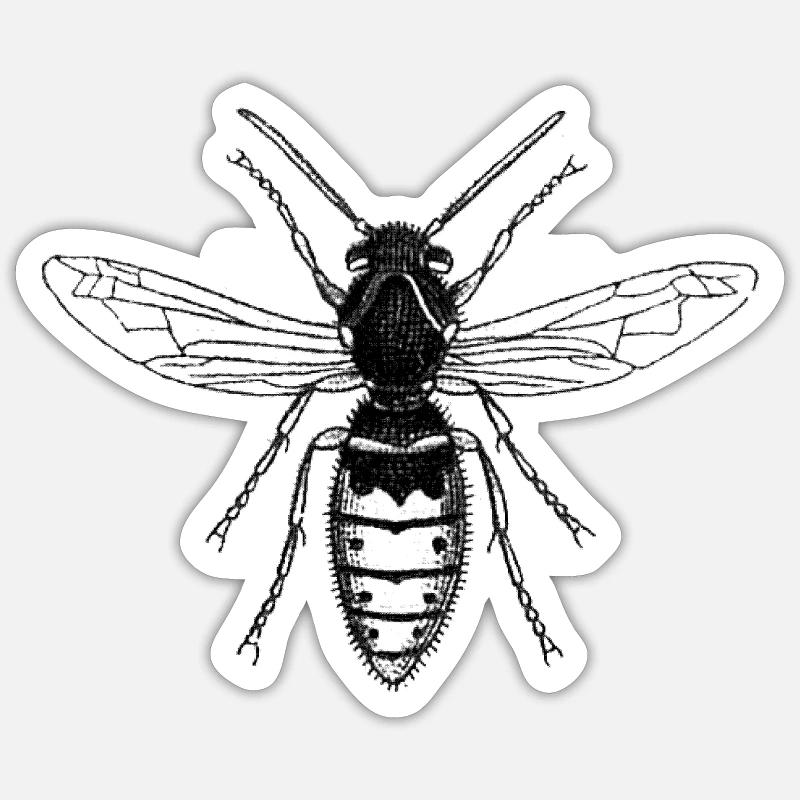 La brape Sticker taille S (10 x 10 cm)