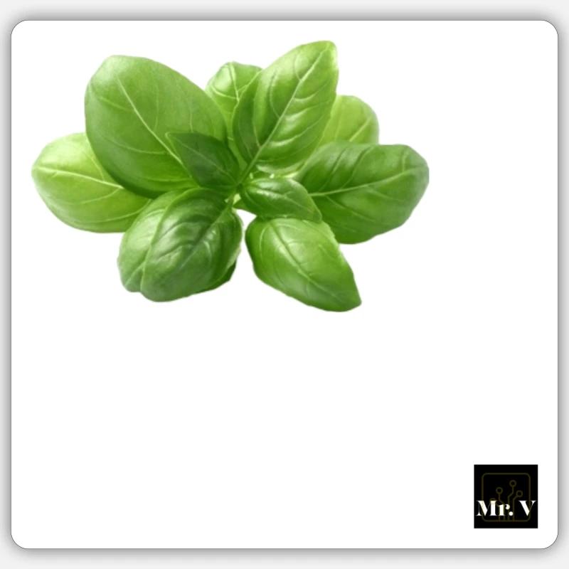 basil Sticker size S (10 x 10 cm)