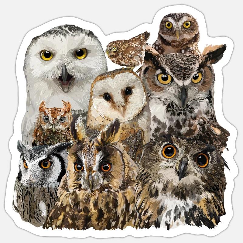 Eulen - Sticker Größe S (10 x 10 cm) - Mattweiß
