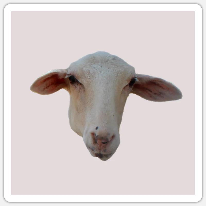 sheep - Sticker size S (10 x 10 cm) - white matte