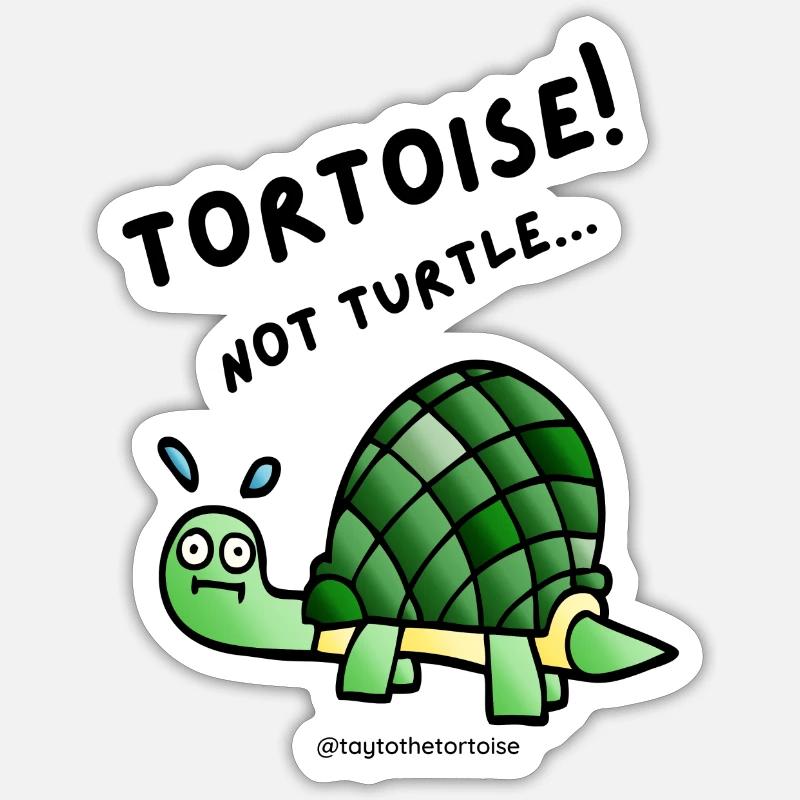 Tortoise not turtle! - Sticker size S (10 x 10 cm) - white matte