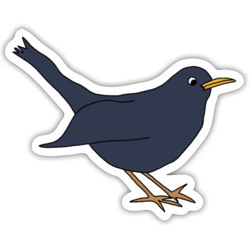 Amsel *** blanko - Sticker Größe S (10 x 10 cm) - Mattweiß - Vorne