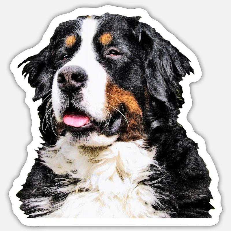 Bouvier bernois - Sticker taille S (10 x 10 cm) - blanc mat