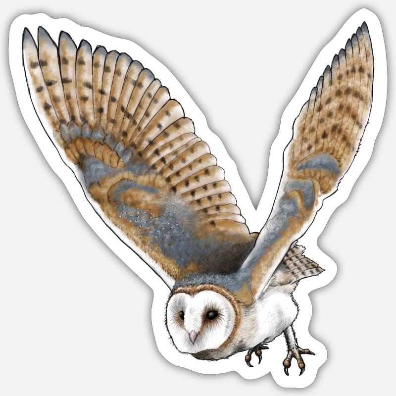 Schleiereule Sticker Größe S (10 x 10 cm)
