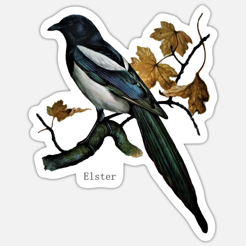 magpie - Sticker size S (10 x 10 cm) - white matte