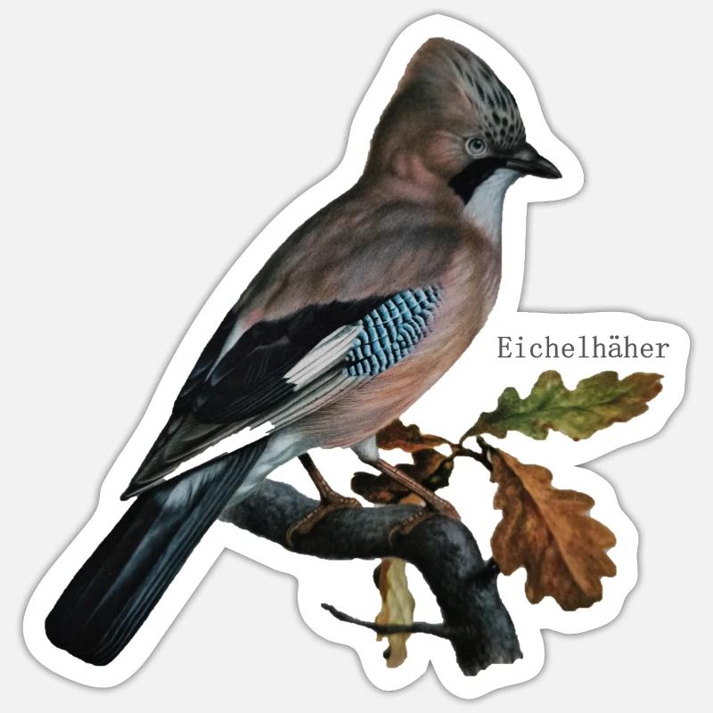 jay Sticker size S (10 x 10 cm)