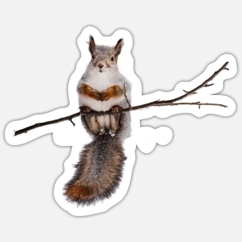 squirrel - Eichhörnchen - Sticker Größe S (10 x 10 cm) - Mattweiß