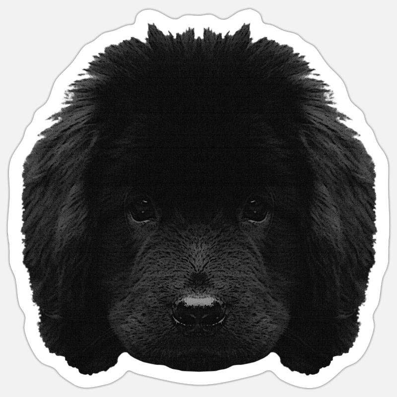 Chiot mignon, chiot Terre-Neuve, races de chiens - Sticker taille S (10 x 10 cm) - blanc mat