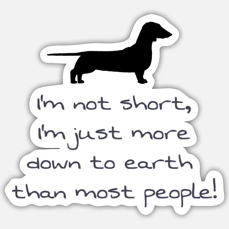 Teckel - Sticker taille S (10 x 10 cm) - blanc mat