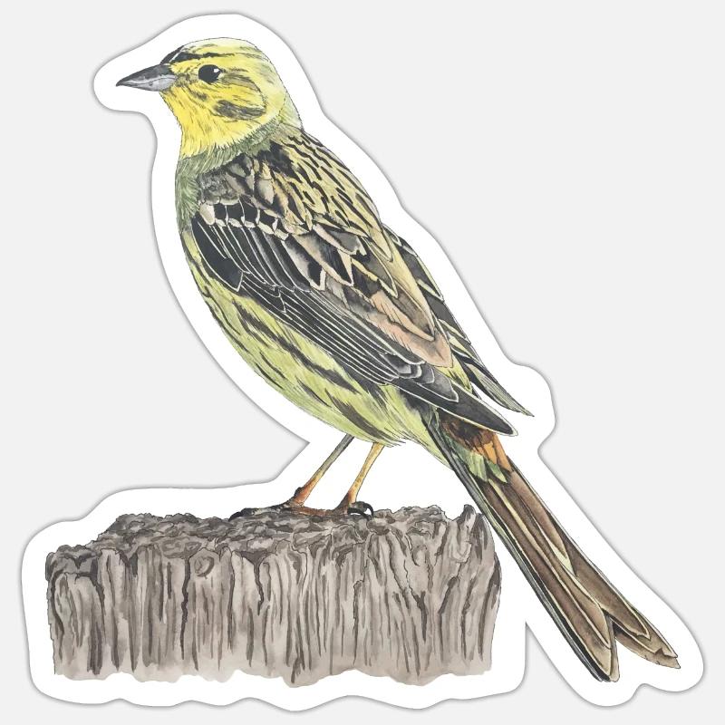 Oiseau bunting doré - Sticker taille S (10 x 10 cm) - blanc mat