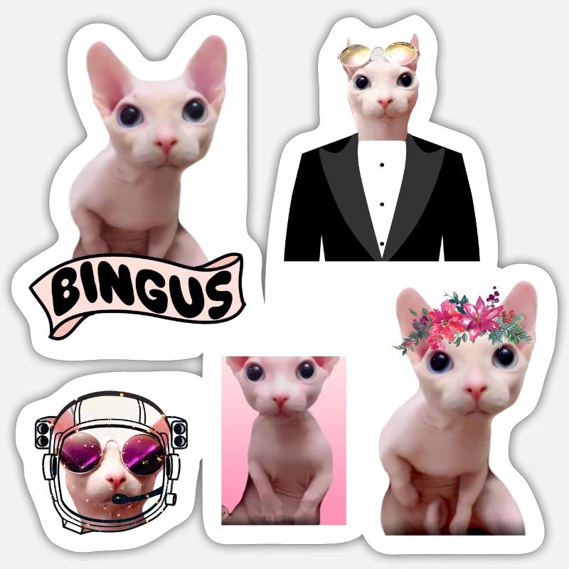 Bingus Meme Sticker taille S (10 x 10 cm)