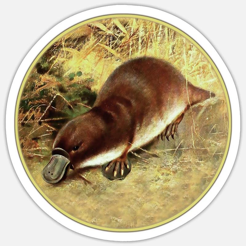 ornithorynque - Sticker taille S (10 x 10 cm) - blanc mat