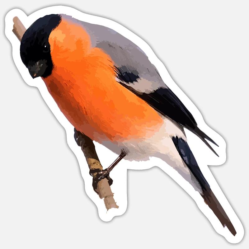 Gimpel Dompfaff sits on branch - Sticker size S (10 x 10 cm) - white matte