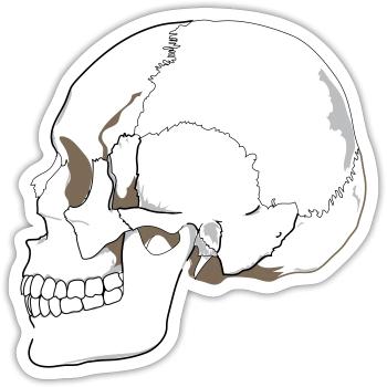 Skull - Sticker Größe S (10 x 10 cm) - Mattweiß - Vorne