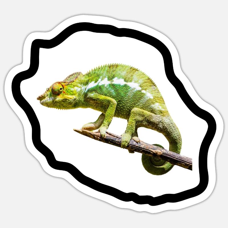 Chameleon vert sur branche - Sticker taille S (10 x 10 cm) - blanc mat