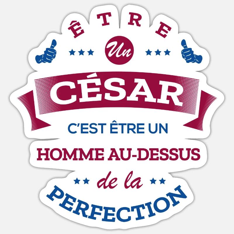 CÉSAR PARFAIT - NOM CÉSAR - Sticker taille S (10 x 10 cm) - blanc mat