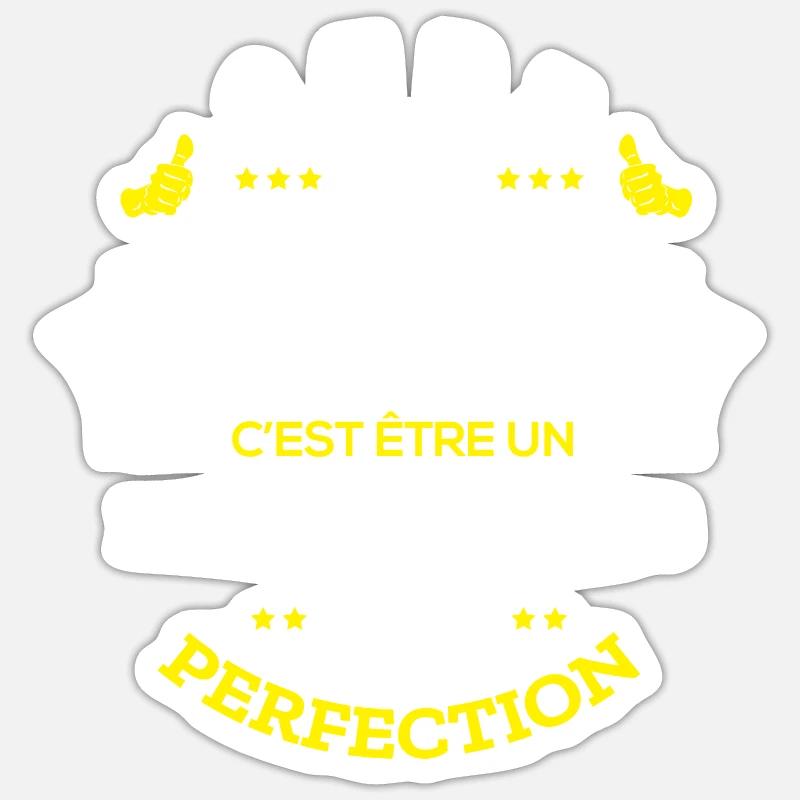 DANIEL PARFAIT - NOM DANIEL - Sticker taille S (10 x 10 cm) - blanc mat