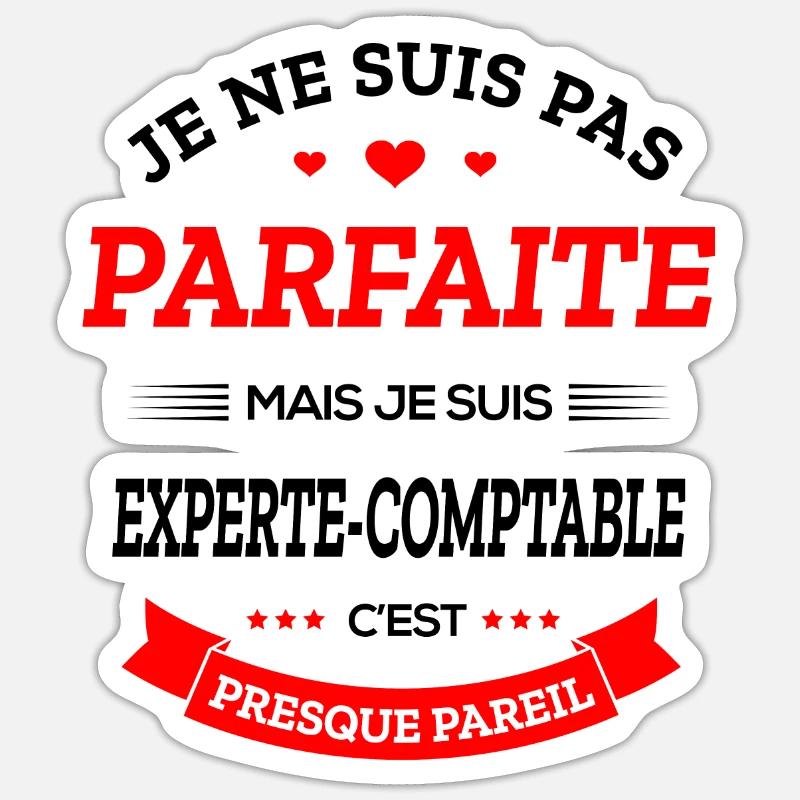 EXPERTE-COMPTABLE PARFAITE Sticker taille S (10 x 10 cm)