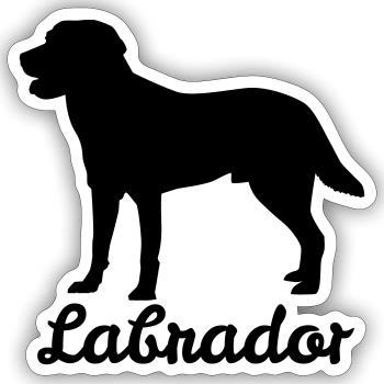 Labrador Retriever - Dog Gift Labbi - Sticker size S (10 x 10 cm) - white matte - Front