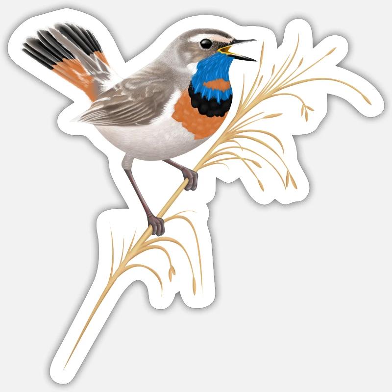 Bluethroat Blue Throat BlueWabb - Sticker size S (10 x 10 cm) - white matte