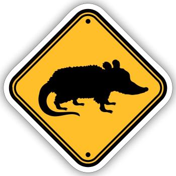 Opossum Gefahr Schild - Sticker Größe S (10 x 10 cm) - Mattweiß - Vorne