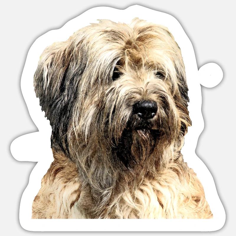 Catalan Shepherd Sticker size S (10 x 10 cm)
