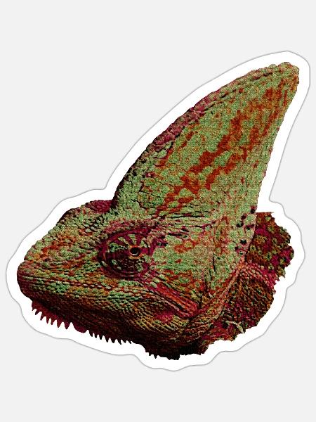 Reptilien designs, Chameleonkopf, freizeitkleidung - Sticker Größe S (10 x 10 cm) - Mattweiß