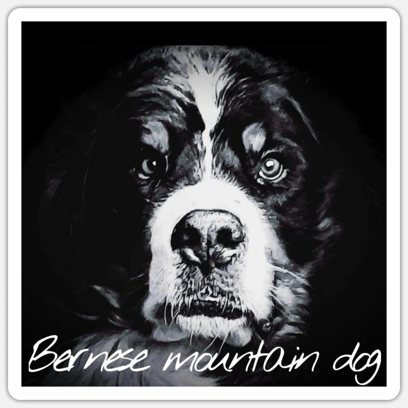 Bouvier bernois - Sticker taille S (10 x 10 cm) - blanc mat