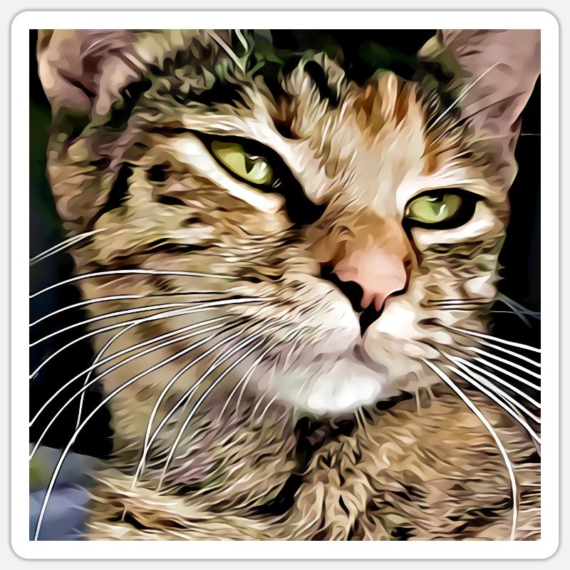 Portrait de chat tabby Sticker taille S (10 x 10 cm)