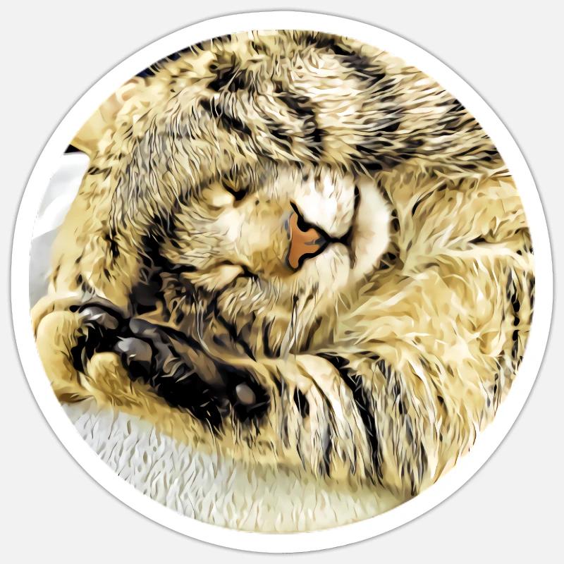 Chubby sleeping tabby cat Sticker size S (10 x 10 cm)