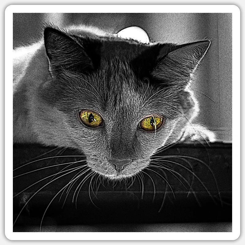 Sticker taille S (10 x 10 cm) - 