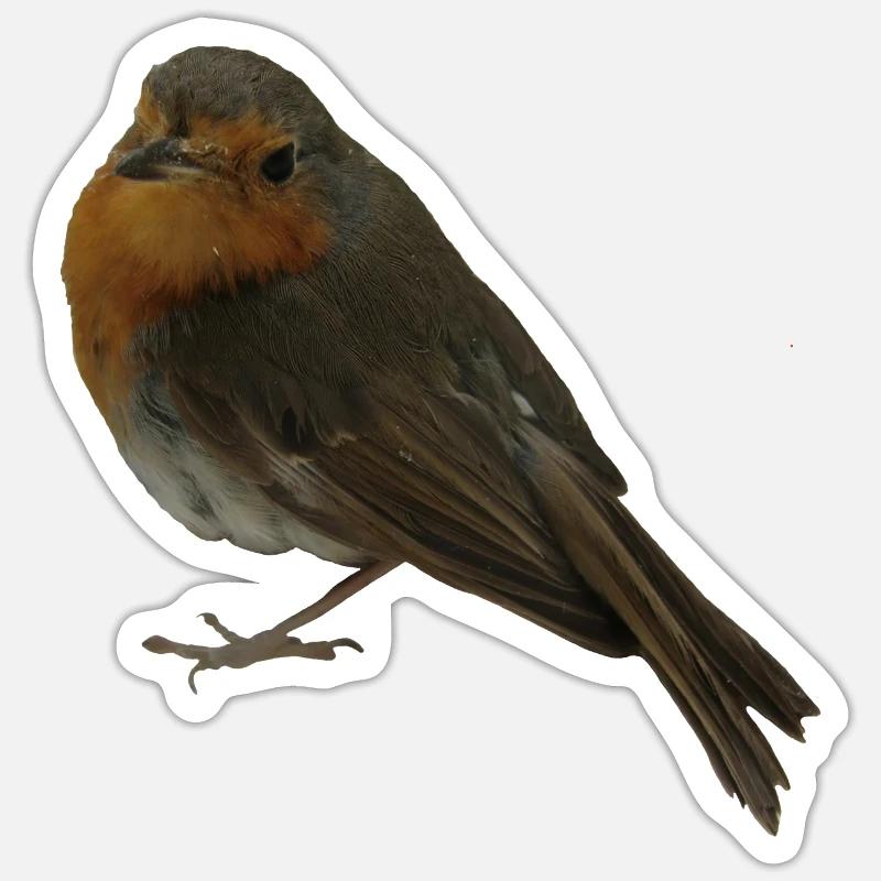 Rotkehlchen - Sticker Größe S (10 x 10 cm) - Mattweiß