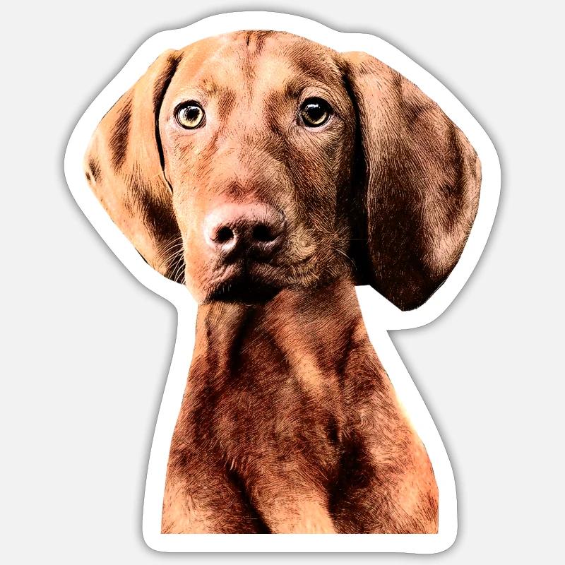 Braque Hongrois 02 - Sticker taille S (10 x 10 cm) - blanc mat