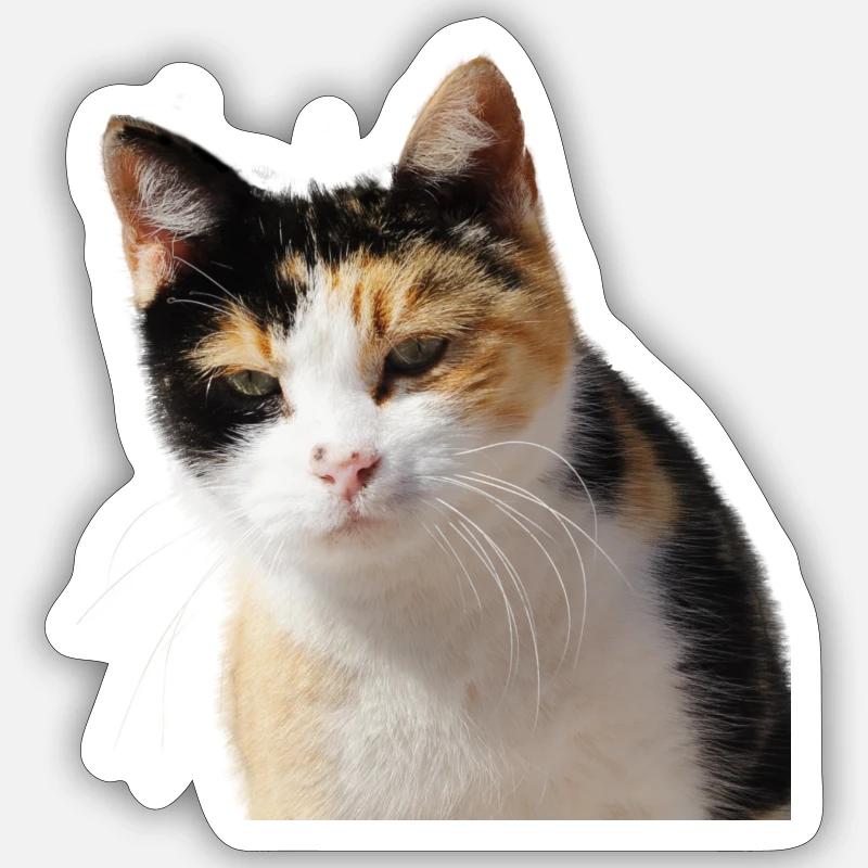 Chat - Sticker taille S (10 x 10 cm) - blanc mat