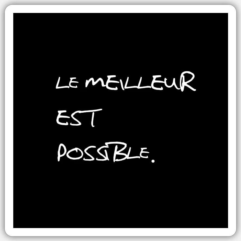 Sticker taille S (10 x 10 cm) - 